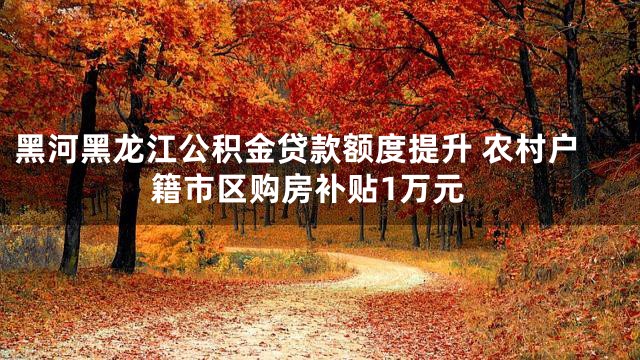 黑河黑龙江公积金贷款额度提升 农村户籍市区购房补贴1万元