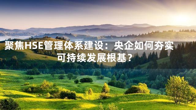 聚焦HSE管理体系建设：央企如何夯实可持续发展根基？