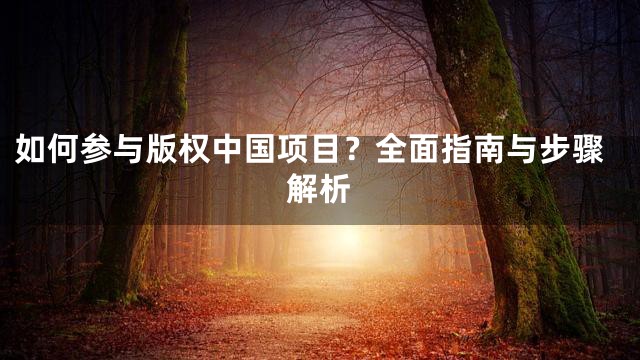如何参与版权中国项目？全面指南与步骤解析