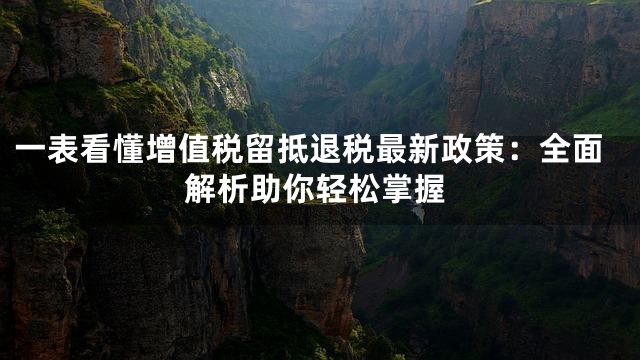 一表看懂增值税留抵退税最新政策：全面解析助你轻松掌握