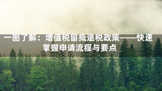 一图了解：增值税留抵退税政策——快速掌握申请流程与要点