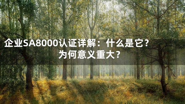 企业SA8000认证详解：什么是它？为何意义重大？