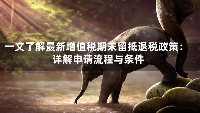一文了解最新增值税期末留抵退税政策：详解申请流程与条件