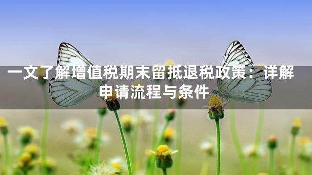 一文了解增值税期末留抵退税政策：详解申请流程与条件