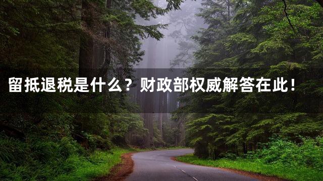留抵退税是什么？财政部权威解答在此！