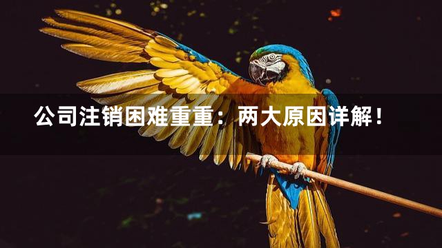 公司注销困难重重：两大原因详解！