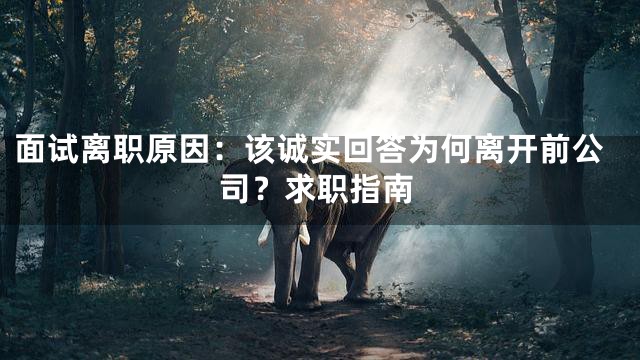 面试离职原因：该诚实回答为何离开前公司？求职指南