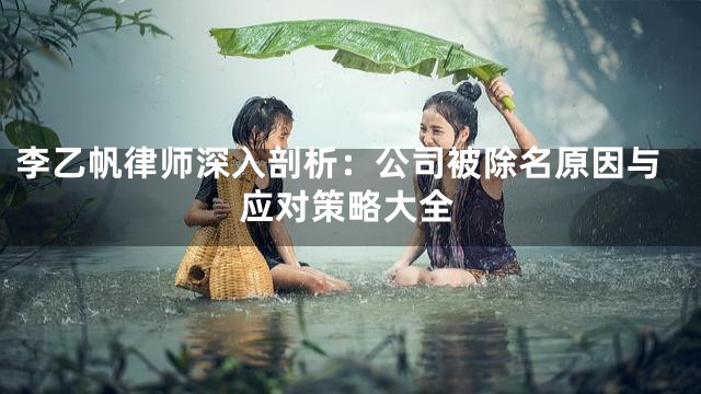 李乙帆律师深入剖析：公司被除名原因与应对策略大全