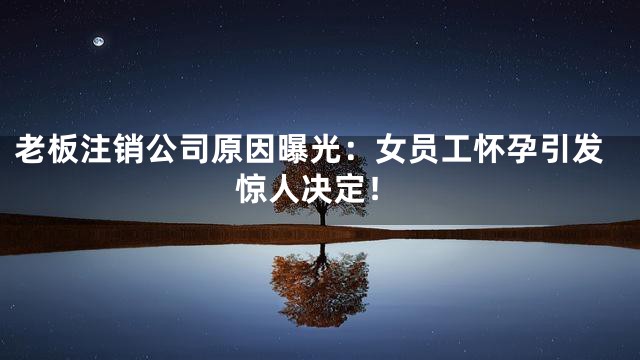 老板注销公司原因曝光：女员工怀孕引发惊人决定！