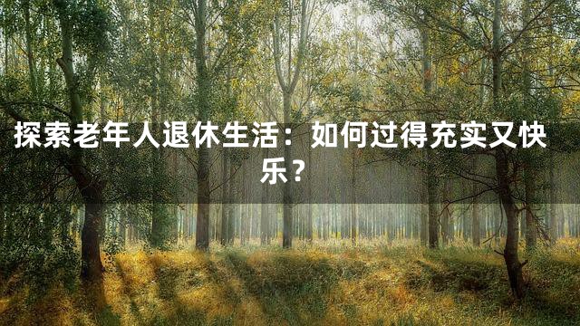 探索老年人退休生活：如何过得充实又快乐？