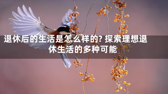 退休后的生活是怎么样的? 探索理想退休生活的多种可能
