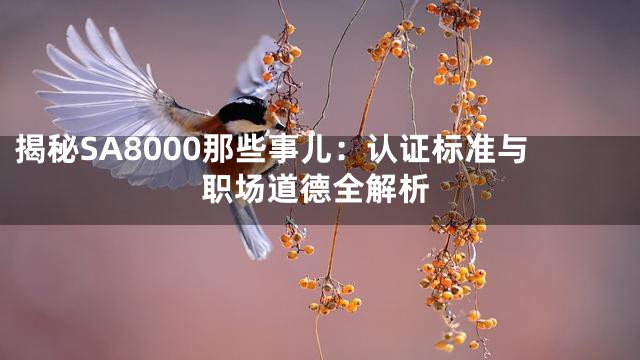揭秘SA8000那些事儿：认证标准与职场道德全解析