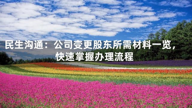 民生沟通：公司变更股东所需材料一览，快速掌握办理流程