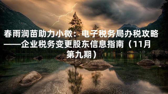 春雨润苗助力小微：电子税务局办税攻略——企业税务变更股东信息指南（11月第九期）