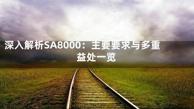 深入解析SA8000：主要要求与多重益处一览