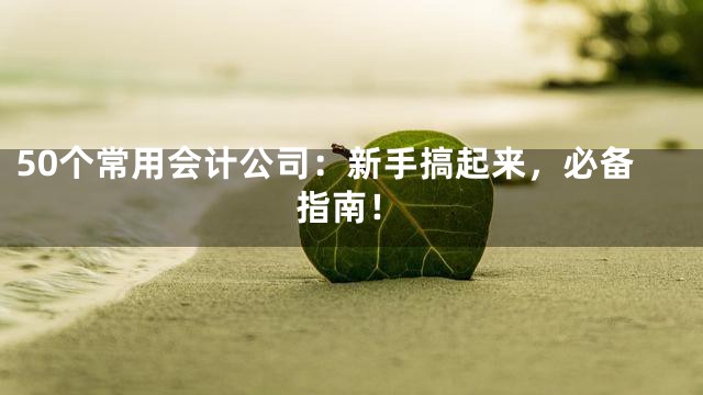 50个常用会计公司：新手搞起来，必备指南！