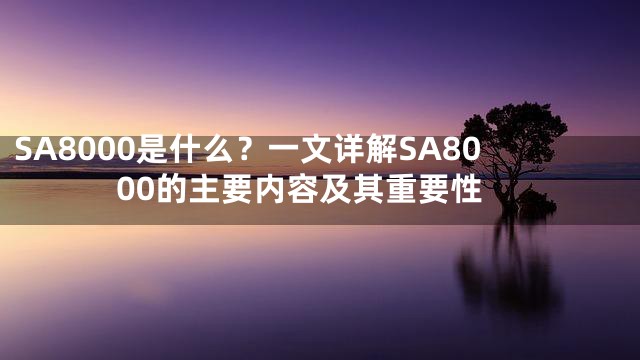 SA8000是什么？一文详解SA8000的主要内容及其重要性