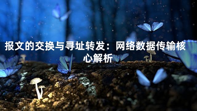 报文的交换与寻址转发：网络数据传输核心解析