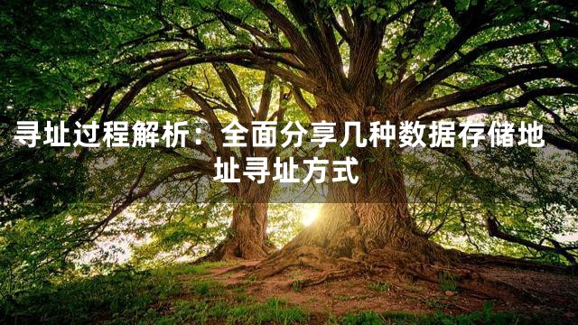寻址过程解析：全面分享几种数据存储地址寻址方式