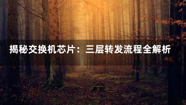 揭秘交换机芯片：三层转发流程全解析