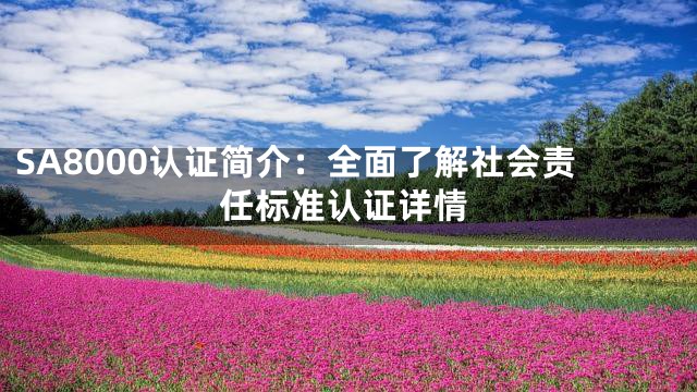 SA8000认证简介：全面了解社会责任标准认证详情