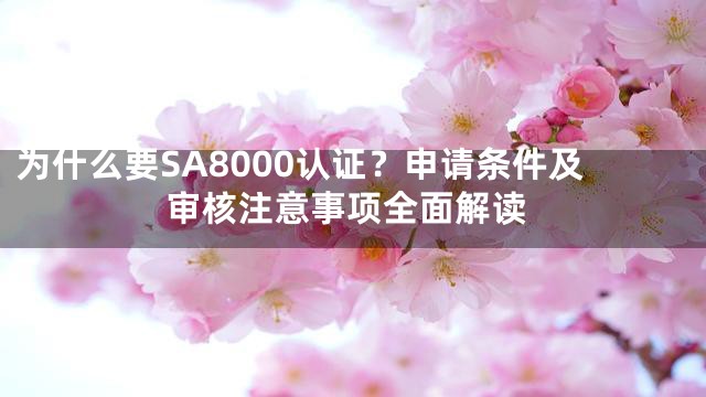 为什么要SA8000认证？申请条件及审核注意事项全面解读