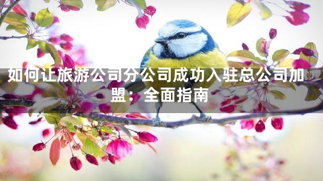如何让旅游公司分公司成功入驻总公司加盟：全面指南