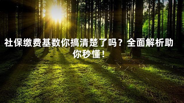社保缴费基数你搞清楚了吗？全面解析助你秒懂！