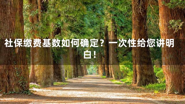 社保缴费基数如何确定？一次性给您讲明白！