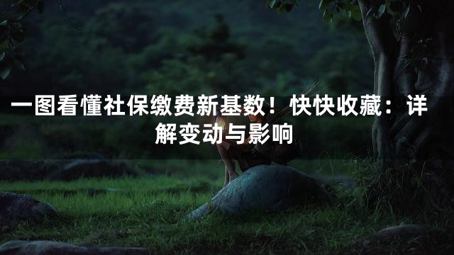 一图看懂社保缴费新基数！快快收藏：详解变动与影响