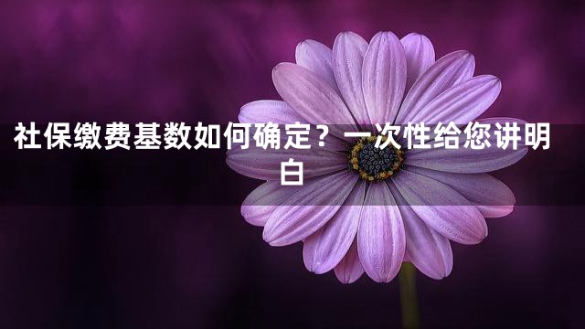 社保缴费基数如何确定？一次性给您讲明白