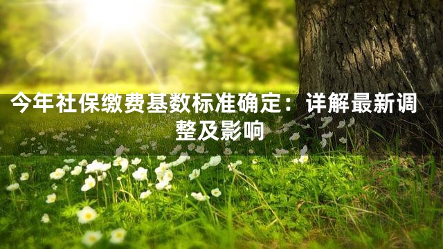 今年社保缴费基数标准确定：详解最新调整及影响