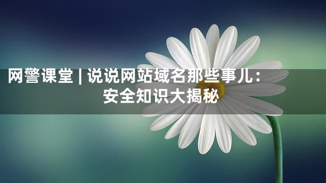 网警课堂 | 说说网站域名那些事儿：安全知识大揭秘