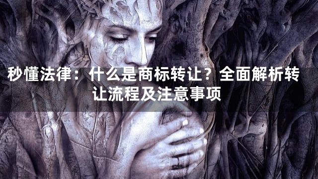 秒懂法律：什么是商标转让？全面解析转让流程及注意事项