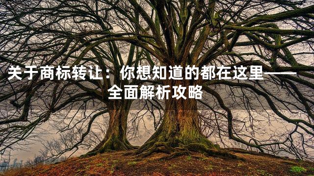 关于商标转让：你想知道的都在这里——全面解析攻略