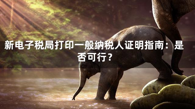 新电子税局打印一般纳税人证明指南：是否可行？