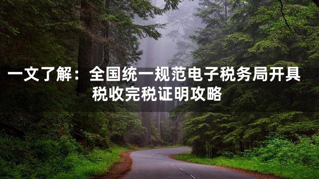 一文了解：全国统一规范电子税务局开具税收完税证明攻略