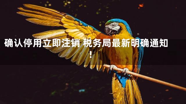 确认停用立即注销 税务局最新明确通知！