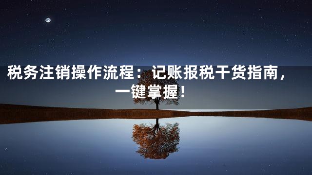 税务注销操作流程：记账报税干货指南，一键掌握！