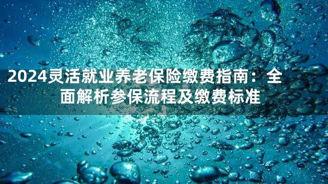 2024灵活就业养老保险缴费指南：全面解析参保流程及缴费标准