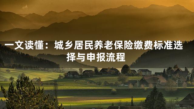 一文读懂：城乡居民养老保险缴费标准选择与申报流程