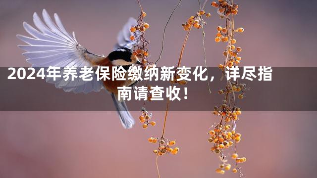 2024年养老保险缴纳新变化，详尽指南请查收！