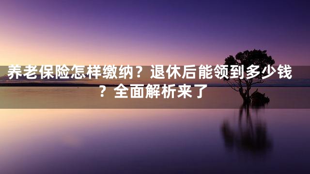 养老保险怎样缴纳？退休后能领到多少钱？全面解析来了