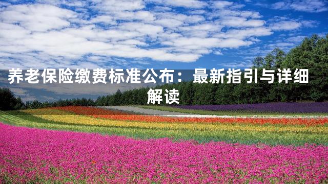 养老保险缴费标准公布：最新指引与详细解读