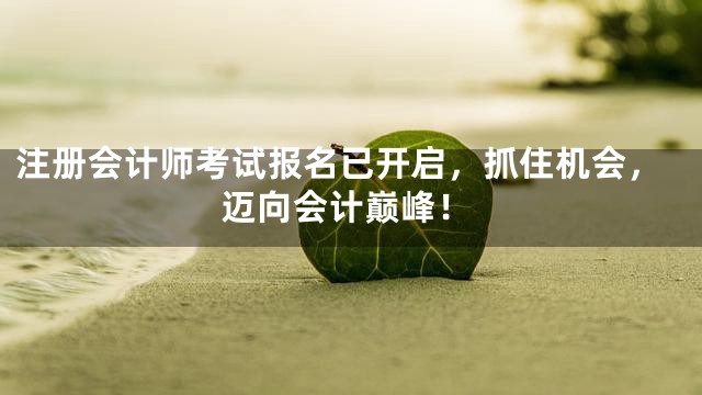 注册会计师考试报名已开启，抓住机会，迈向会计巅峰！