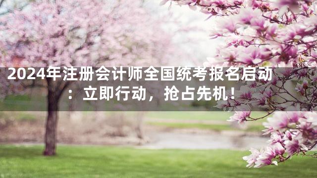 2024年注册会计师全国统考报名启动：立即行动，抢占先机！