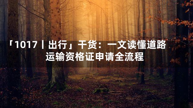 「1017丨出行」干货：一文读懂道路运输资格证申请全流程