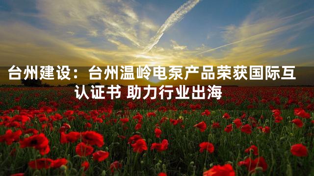 台州建设：台州温岭电泵产品荣获国际互认证书 助力行业出海
