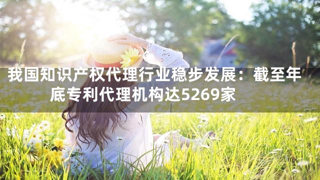 我国知识产权代理行业稳步发展：截至年底专利代理机构达5269家