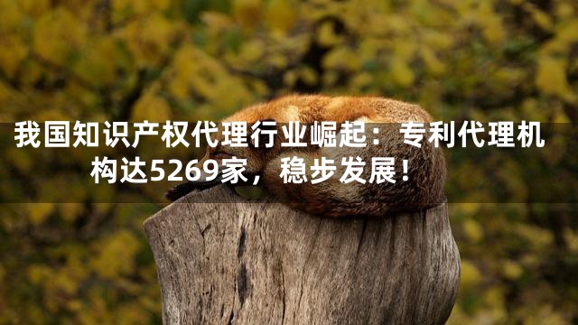 我国知识产权代理行业崛起：专利代理机构达5269家，稳步发展！
